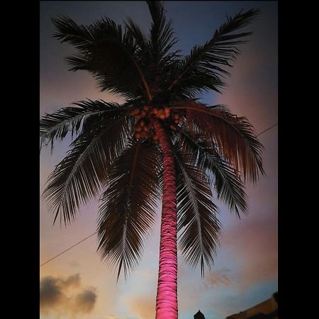 La Palmera Hostel ปูแอร์โตเอสกอนดิโด ภายนอก รูปภาพ