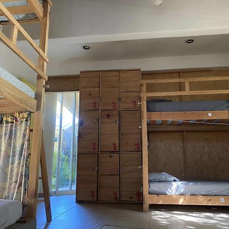 La Palmera Hostel ปูแอร์โตเอสกอนดิโด ภายนอก รูปภาพ