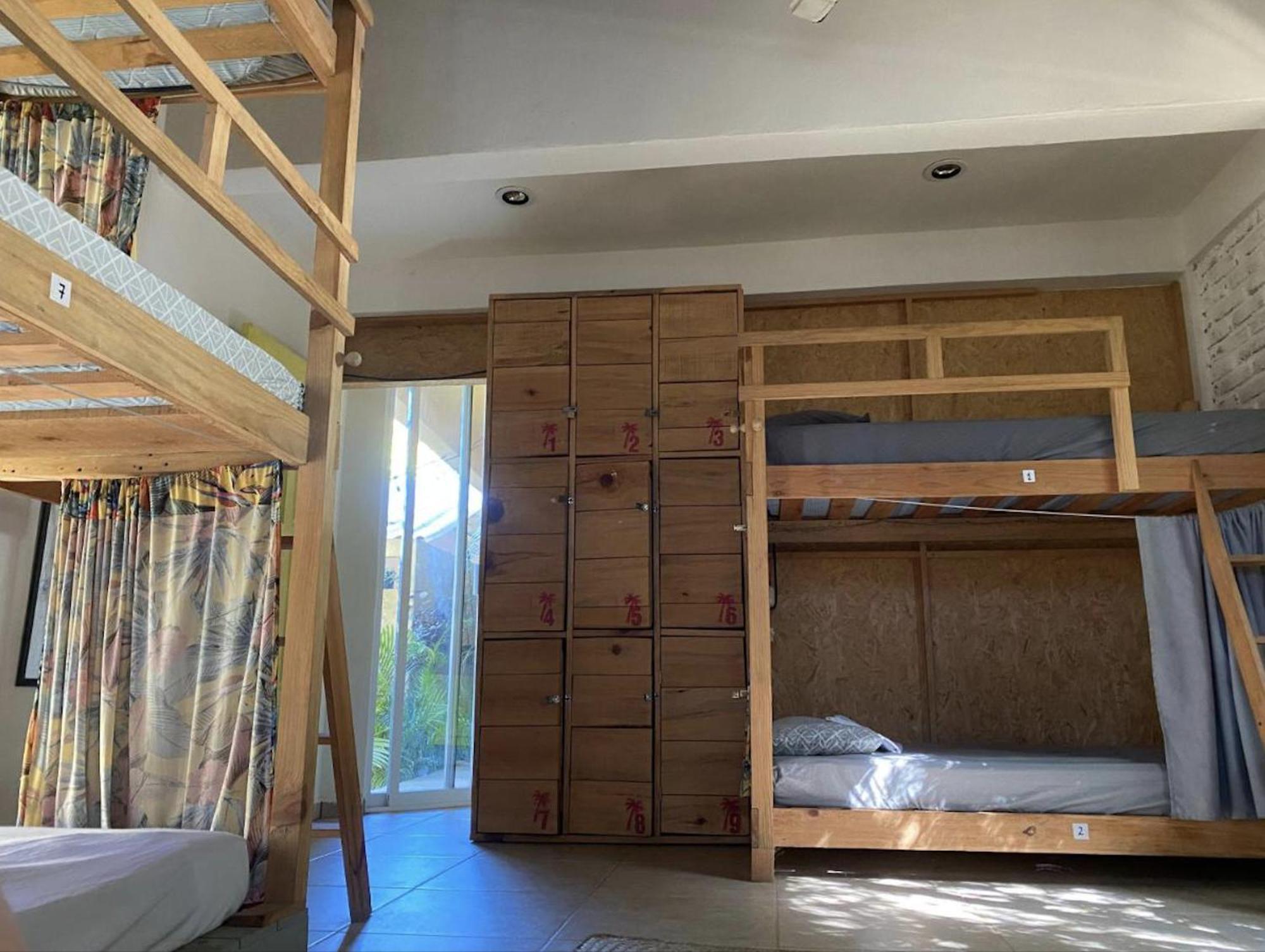 La Palmera Hostel ปูแอร์โตเอสกอนดิโด ภายนอก รูปภาพ